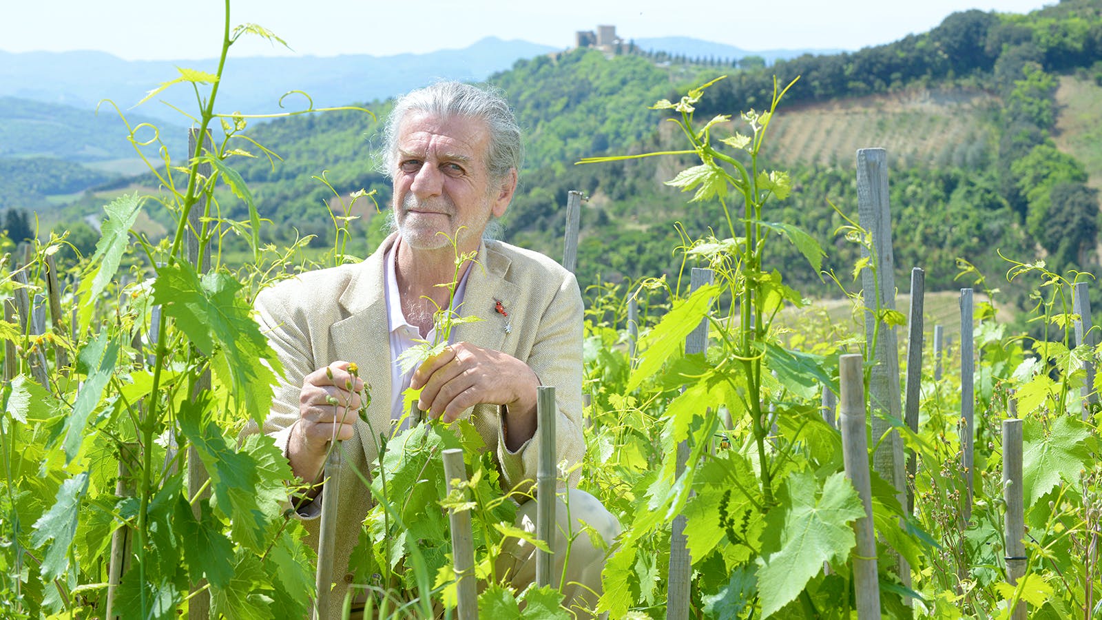 "A Wonderful site and an Inspirational Producer from Montalcino"